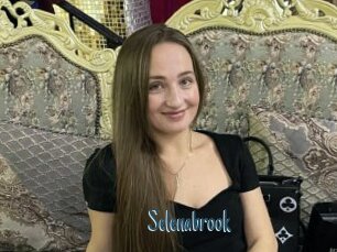 Selenabrook