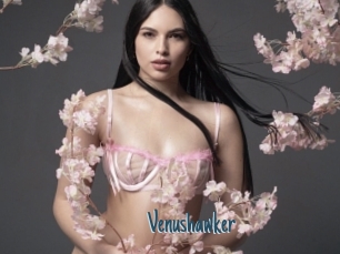 Venushawker