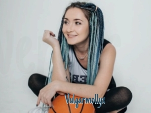 Vulgarmollyx