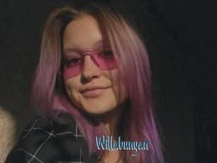 Willabunyan
