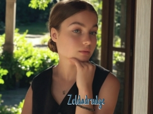 Zeldadrudge