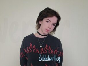 Zeldaharkey